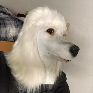 Meet your Posher, Isaisaac